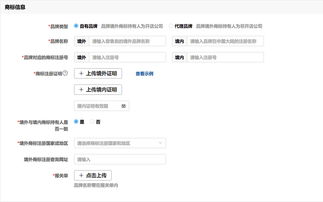 拼多多一般貿易店鋪解析 入駐指南與線上代理模式探討